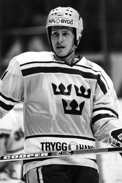 Johan Garpenlöv, Sverige