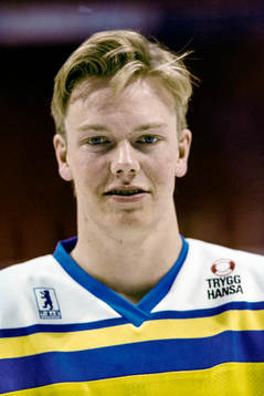 Mats Sundin
