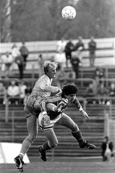 Peter Wibrån, Sverige