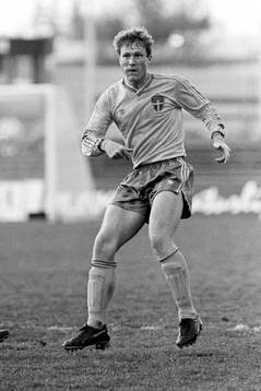 Jan Eriksson, Sverige