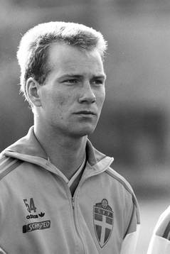 Peter Andersson, Sverige