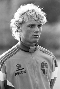 Roger Nordstrand, Sverige