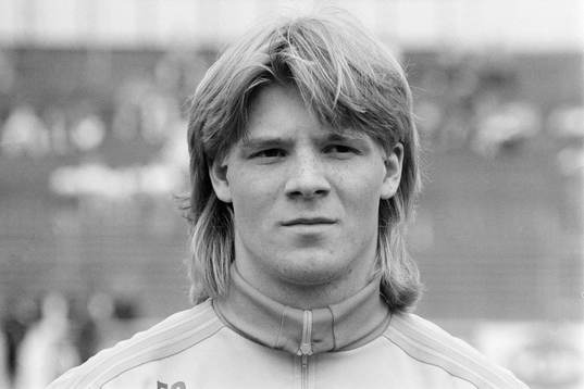 Johan Ragnell, Sverige