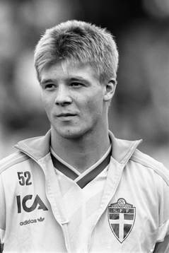 Johan Ragnell, Sverige