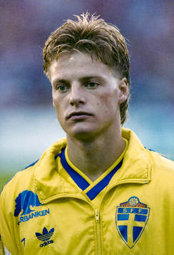Stefan Schwarz, Sverige