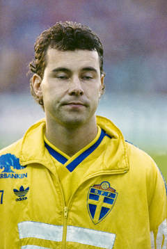 Stefan Rehn, Sverige