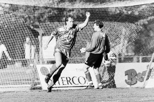 Henrik Bertilsson, Falkenberg jublar