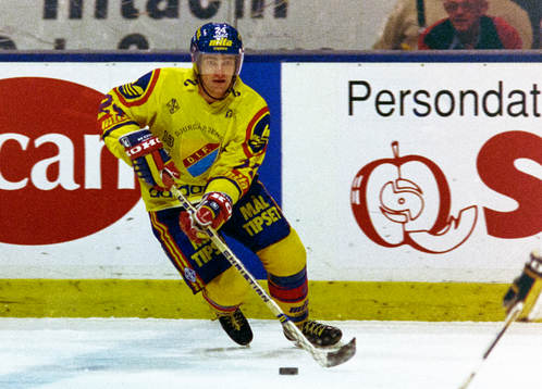 Anders Johnson, Djurgården