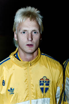 Christer Fursth, Sverige