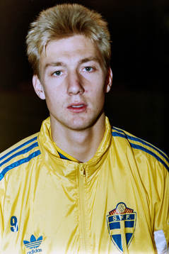 Stefan Landberg, Sverige
