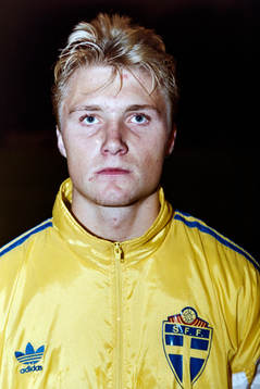 Magnus Johansson, Sverige