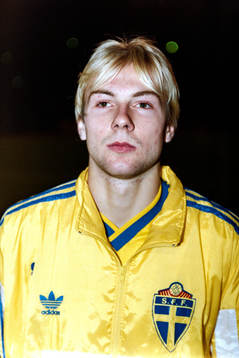 Håkan Mild, Sverige