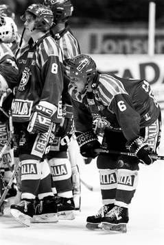 Anders Carlsson, Brynäs