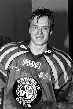 Anders Gozzi, Brynäs