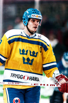 Thomas Rundqvist, Sverige