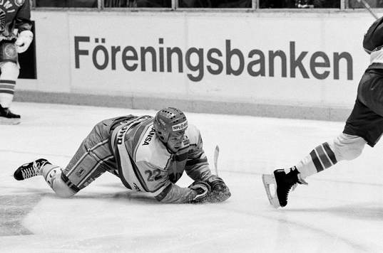 Charles Berglund, Sverige