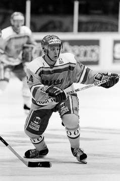 Niklas Andersson, Sverige