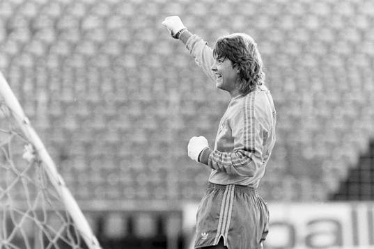 Pia Sundhage, Sverige jublar