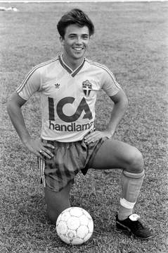 Jörgen Moberg, Sverige