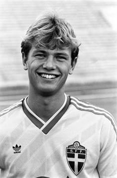 Patrik Andersson, Sverige