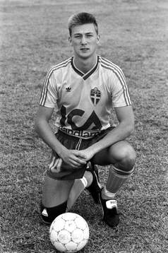 Stefan Landberg, Sverige