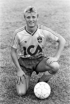 Magnus Johansson, Sverige