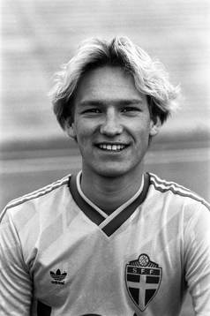 Fredrik Andersson, Sverige