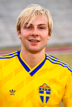 Håkan Mild, Sverige