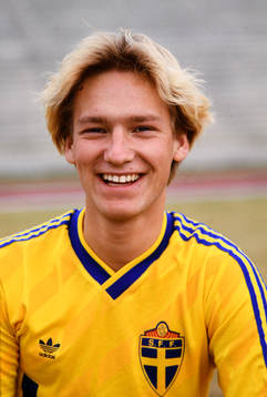 Fredrik Andersson, Sverige