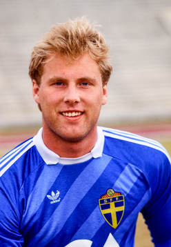Jan Ekholm, Sverige