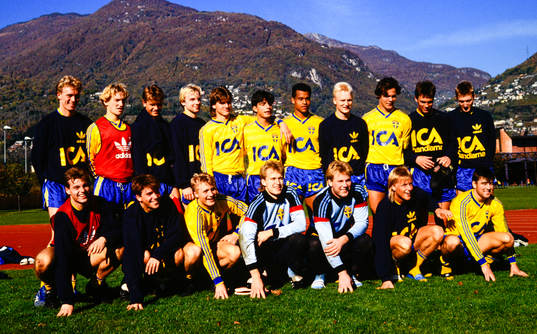 Lagbild, Sverige
