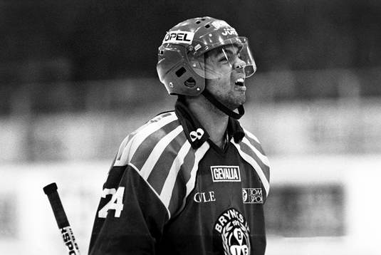 Patrik Erickson, Brynäs
