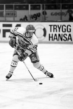 Charles Berglund, Sverige