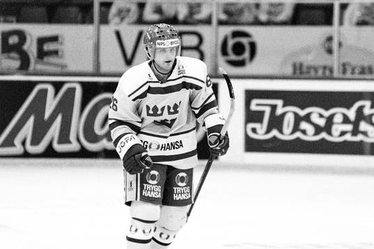 Jan Viktorsson, Sverige
