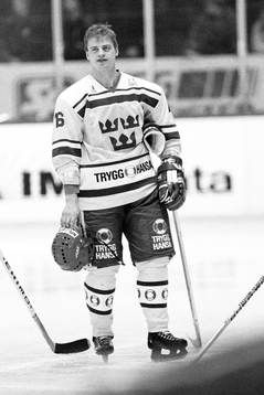 Bengt-Åke Gustafsson, Sverige