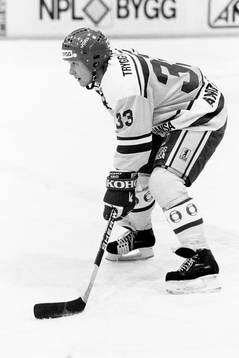 Peter Andersson, Sverige