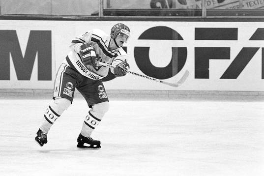 Bengt-Åke Gustafsson, Sverige