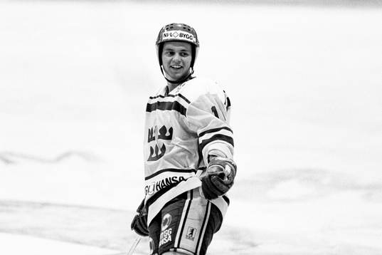 Daniel Rydmark, Sverige