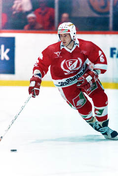Jim Leavins, Färjestad