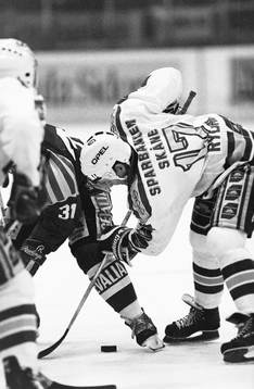 Peter Larsson, Brynäs Daniel Rydmark, Malmö i en tekning