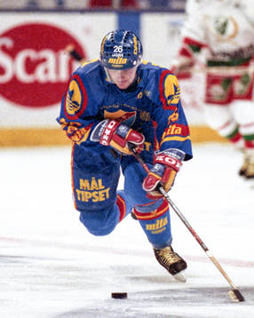 Jan Viktorsson, Djurgården med pucken