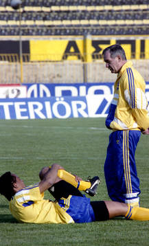 Martin Dahlin och Tord Grip, Sverige