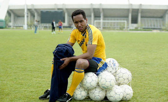 Martin Dahlin, Sverige