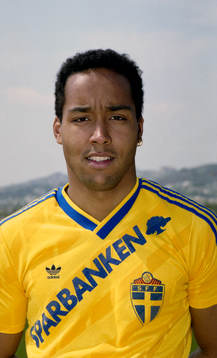 Martin Dahlin, Sverige
