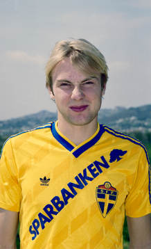 Håkan Mild, Sverige