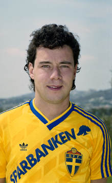 Stefan Rehn, Sverige