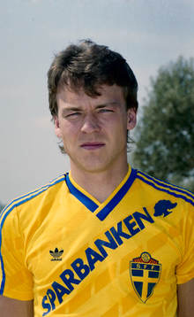 Magnus Erlingsmark, Sverige