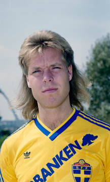 Niklas Karlström, Sverige