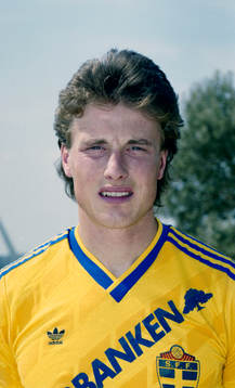 Roger Ljung, Sverige