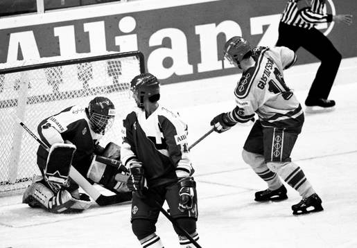 Bengt-Åke Gustafsson, Sverige